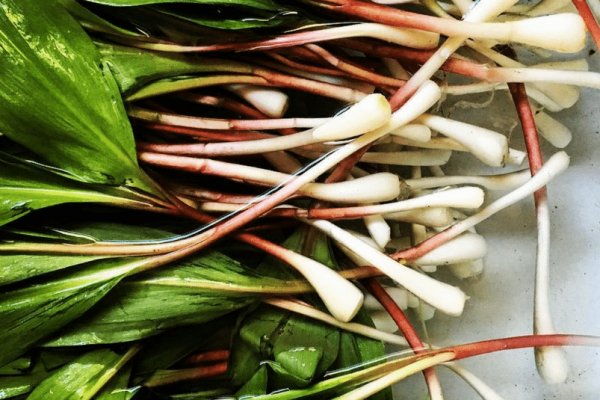 Кракен верное зеркало