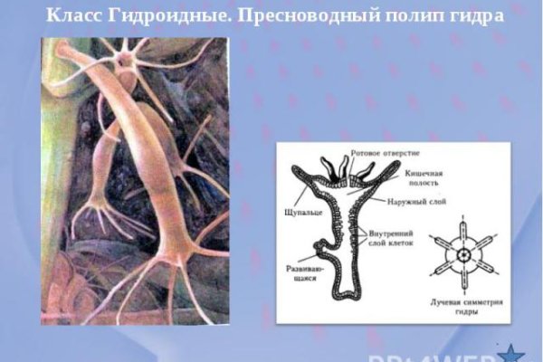 Кракен маркетплейс официальный сайт