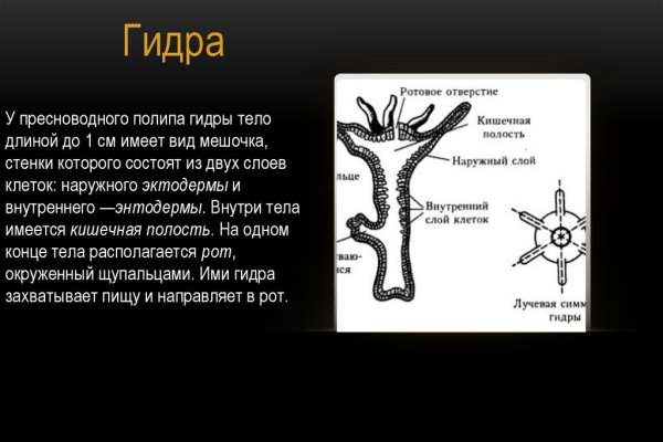 Зайти на кракен через браузер