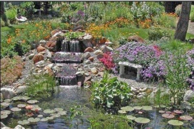 How to make a pond in the garden ⛲ and on a summer cottage with your own hands - photos of small ponds from a bathtub and a tire