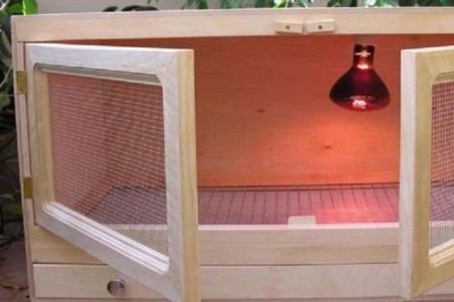 DIY brooder for chickens